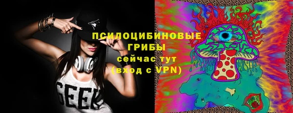индика Алзамай
