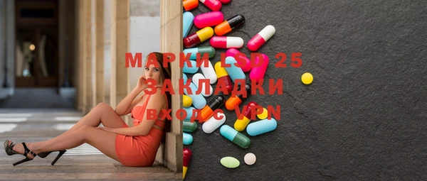 индика Алзамай