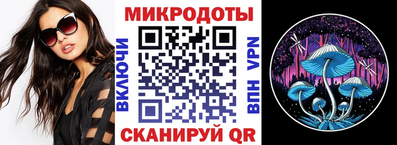 Галлюциногенные грибы GOLDEN TEACHER  цены   МЕГА как зайти  Сунжа 